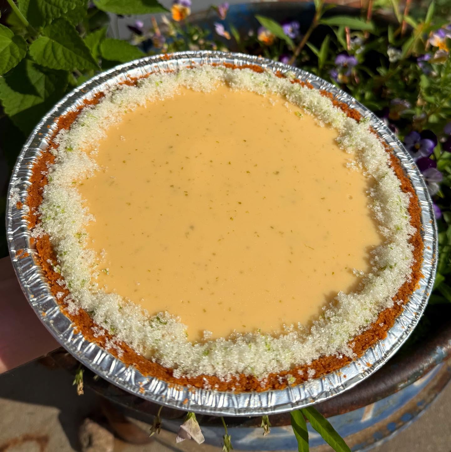 We’re at the height of key lime pie season! Swing by and snag one for your holiday weekend grill out